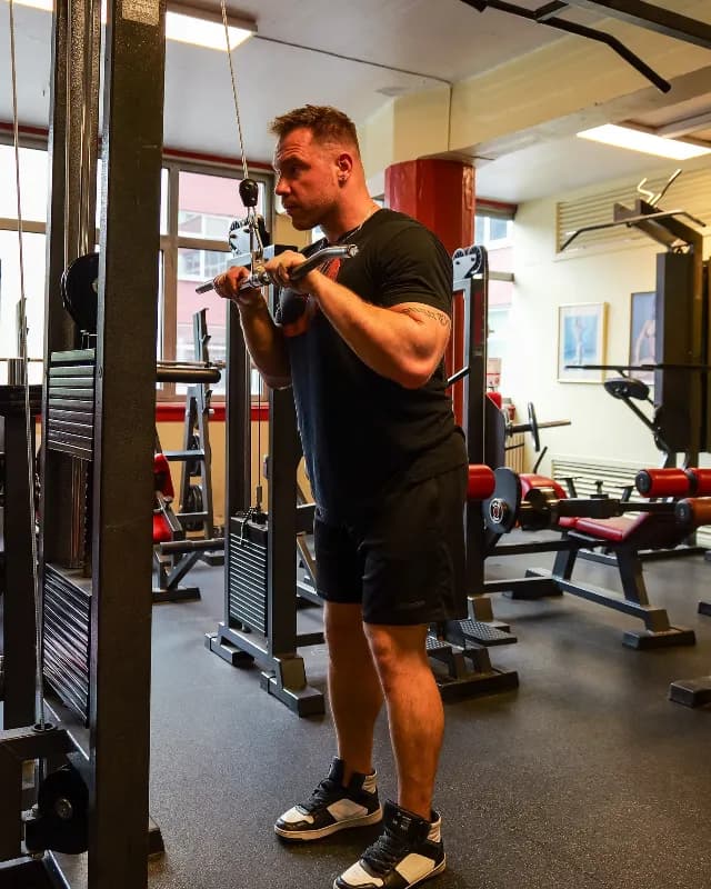 Triceps Pushdown (Straight Bar)