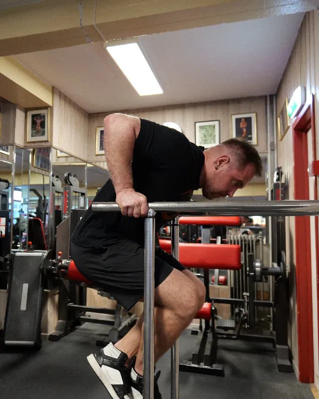 Dips