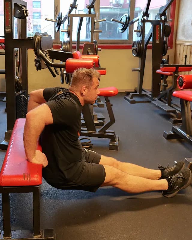 Bench Dips