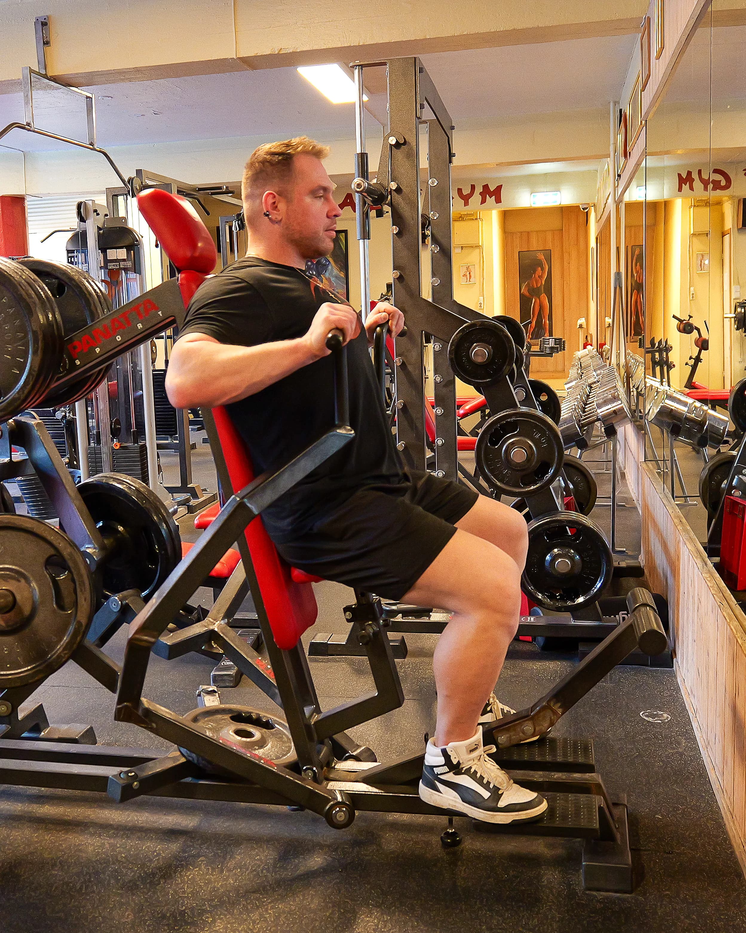 Chest Press Machine