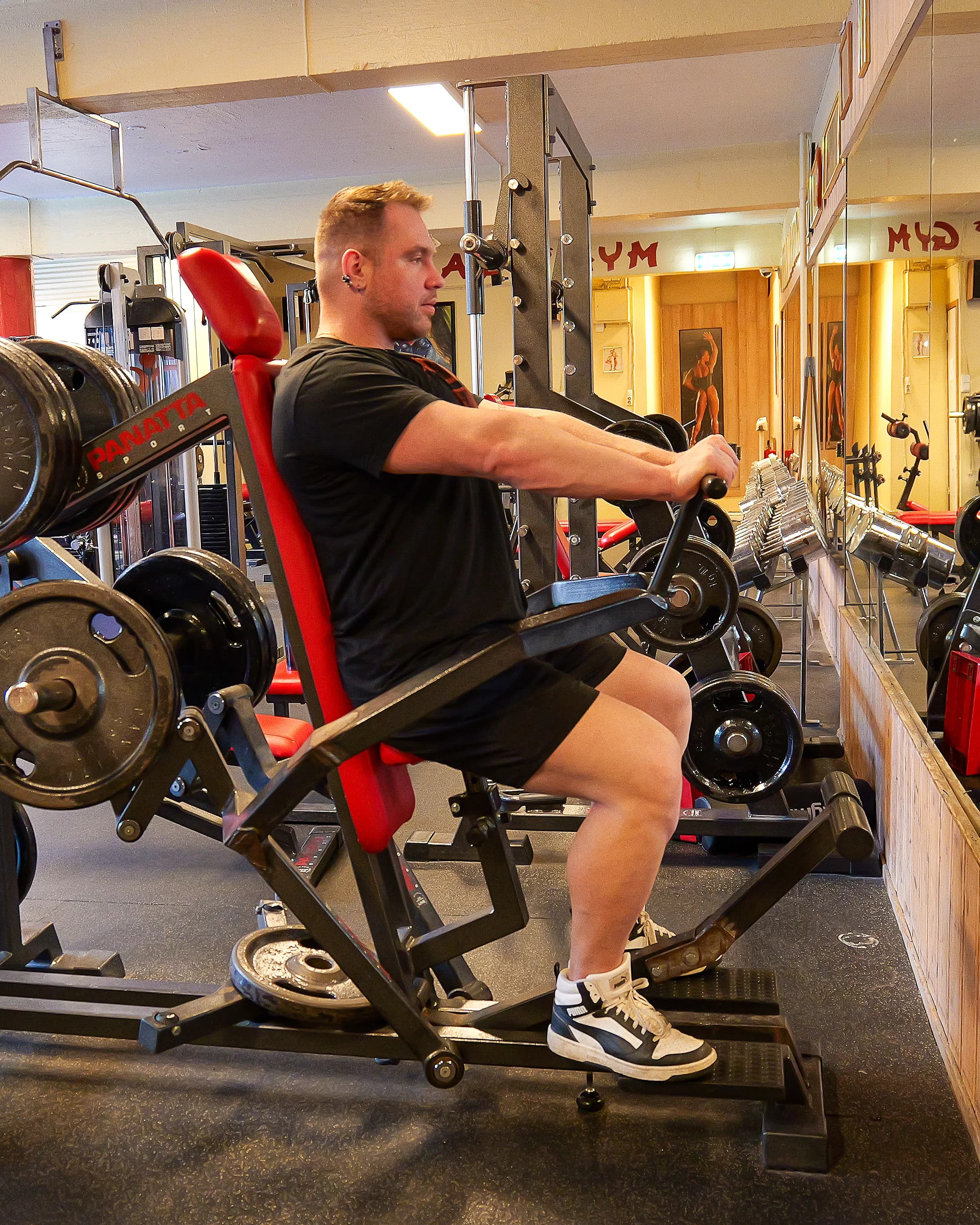 Chest Press Machine