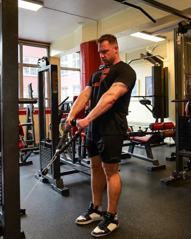Cable Hammer Curl
